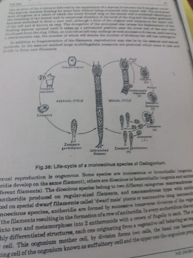 Botany Study Material by Brilliant Tutorials